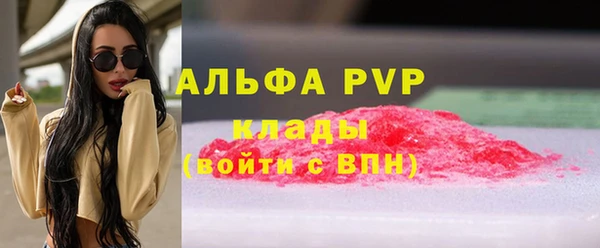 гашик Богданович