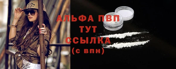 дживик Богородск