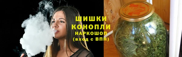 гашик Богданович