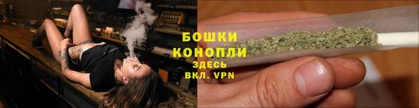 кокс Богородицк