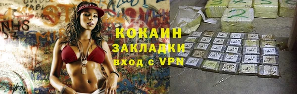 ГАЛЛЮЦИНОГЕННЫЕ ГРИБЫ Белокуриха