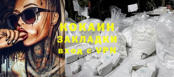гашик Богданович