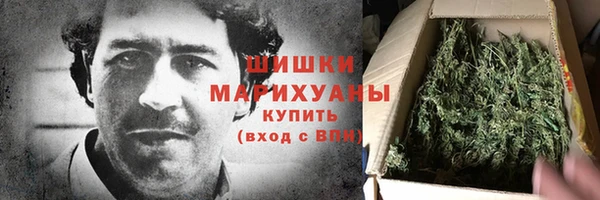 дживик Богородск
