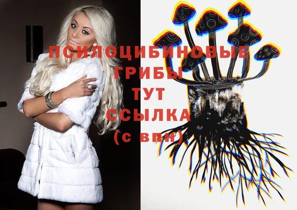 кокс Богородицк