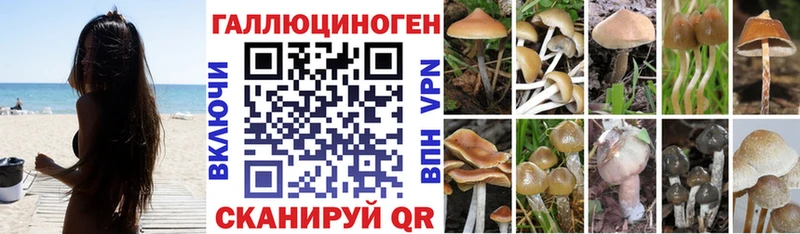 продажа наркотиков  Коломна  Галлюциногенные грибы ЛСД 